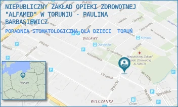 PORADNIA STOMATOLOGICZNA DLA DZIECI - NIEPUBLICZNY ZAKŁAD OPIEKI ZDROWOTNEJ "ALFAMED" W TORUNIU - PAULINA BARBASIEWICZ - KRYNICKA 8,  TORUŃ