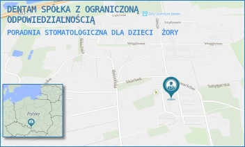 PORADNIA STOMATOLOGICZNA DLA DZIECI - DENTAM SPÓŁKA Z OGRANICZONĄ ODPOWIEDZIALNOŚCIĄ - UL. OS. GWARKÓW 22A,  ŻORY