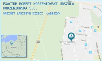 GABINET ŁABISZYN DZIECI - EXACTUM ROBERT KORZENIOWSKI URSZULA KORZENIOWSKA S.C. - POWSTAŃCÓW WIELKOPOLSKICH 17A,  ŁABISZYN