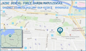 GABINET STOMATOLOGICZNY DLA DZIECI - NZOZ DENTAL FORCE DARIA MATUSZEWSKA - ROMUALDA TRAUGUTTA 12,  BYDGOSZCZ