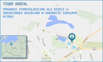 PORADNIA STOMATOLOGICZNA DLA DZIECI 2- ŚWIADCZENIA UDZIELANE W GABINECIE SZKOLNYM - TIGER DENTAL - BOLESŁAWA POBOŻNEGO 1,  KCYNIA